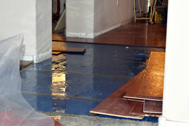 Professional Sewage Cleanup technician working in Seymour, TX